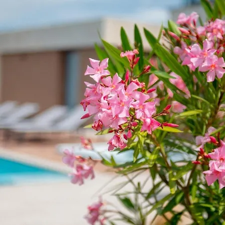 בית נופש Terra Bianca ברטוניגלה