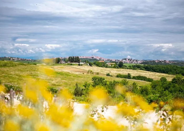 Holiday home Terra Bianca