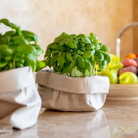 Terra Bianca Brtonigla