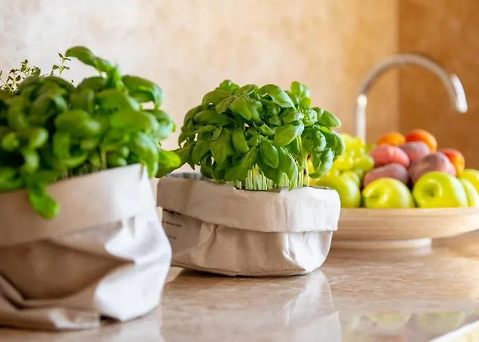 Terra Bianca Brtonigla