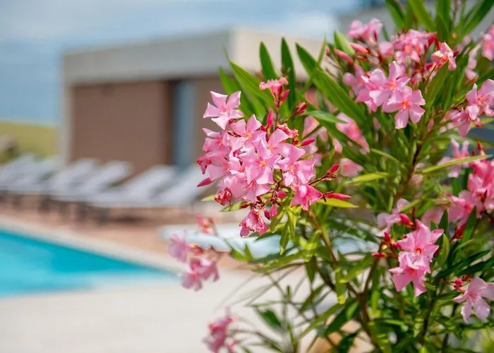 Casa vacanze Terra Bianca Brtonigla